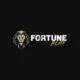 Fortune Play
